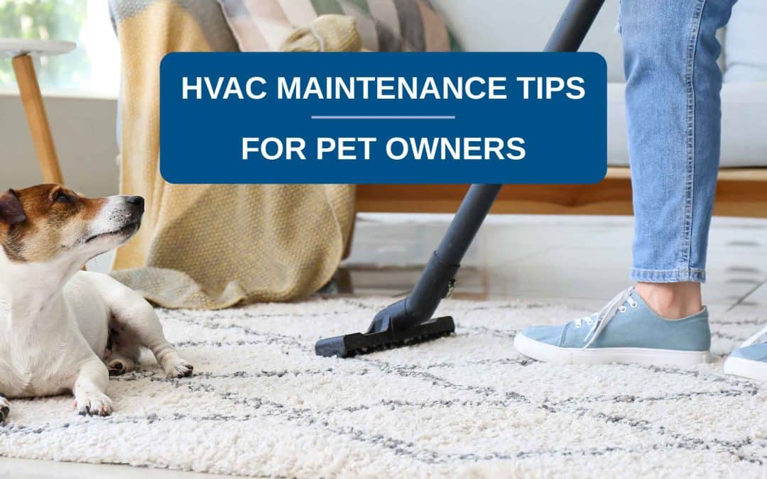 Practical HVAC Maintenance Tips for Pet Owners